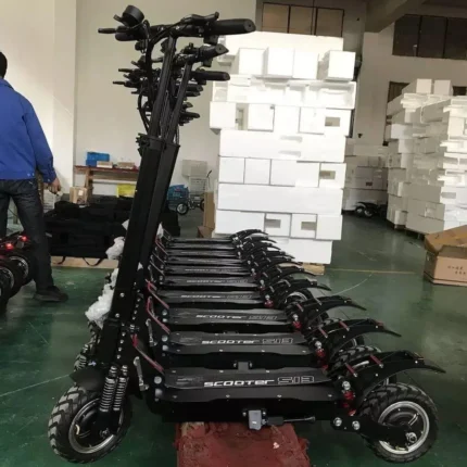 Electric Scooter S13
